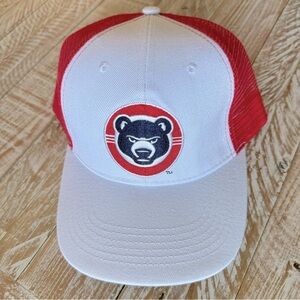 ⚾️South Bend Cubs Minor League Baseball Hat⚾️ 🆕 (2 available!)